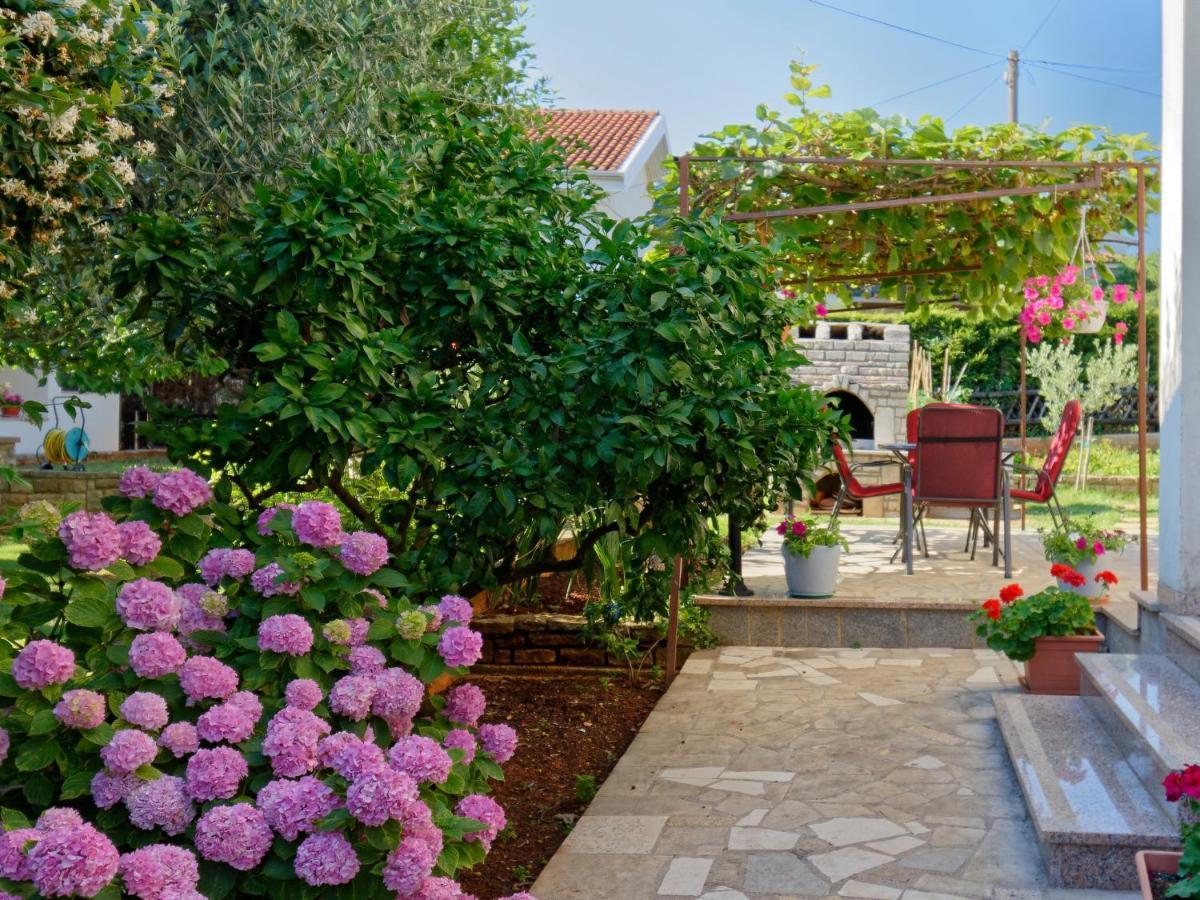 Apartments Marta By Rent Istria Novigrad  Exterior photo